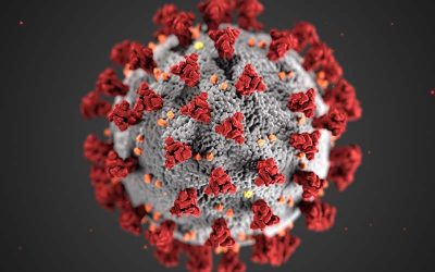 Coronavirus (COVID-19) in Africa and Malawi